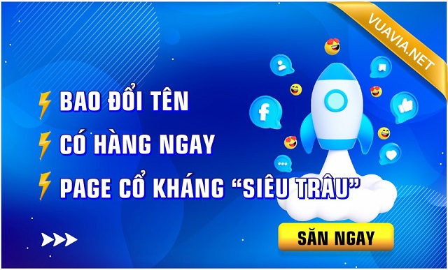 Thanh Thịnh Bùi Shop cung cấp kho tài khoản Via chất lượng