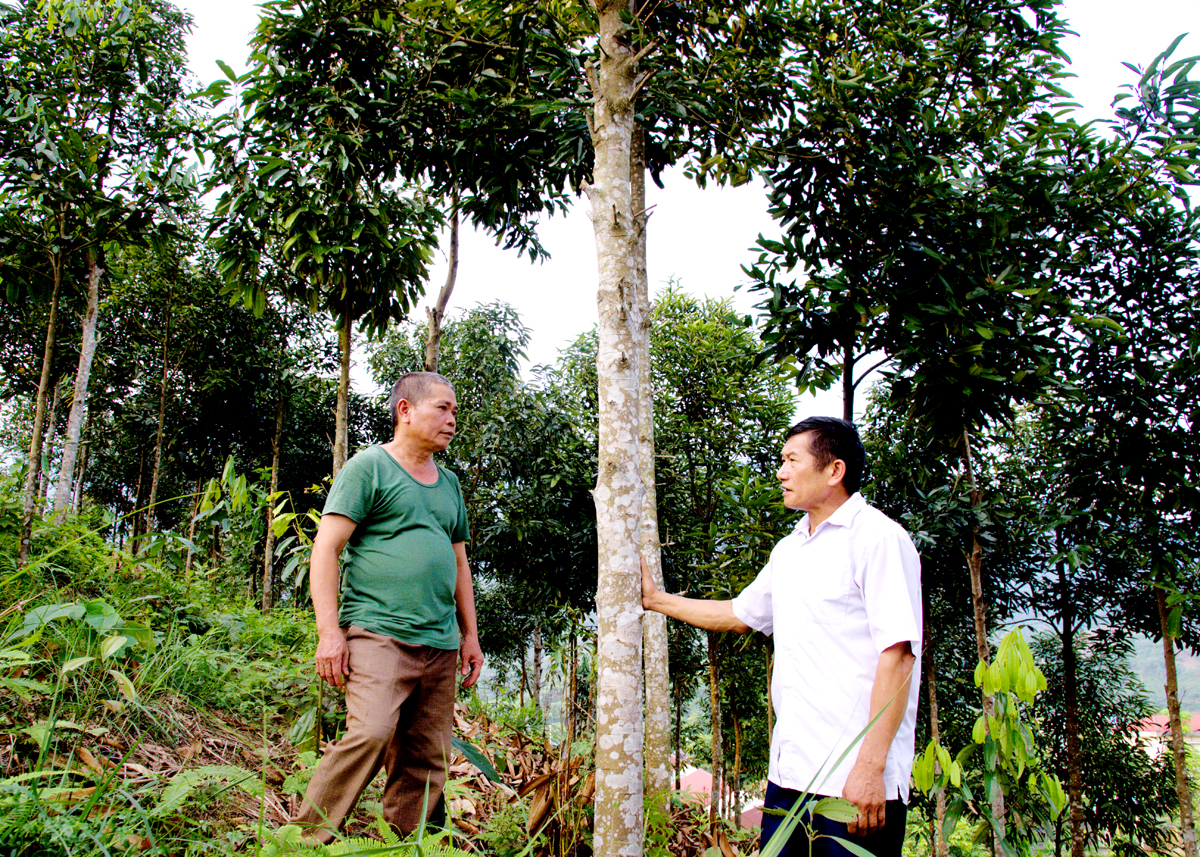 Lãnh đạo xã Tân Bắc (Quang Bình) động viên ông Lý Văn Tòng, thôn Nậm O đẩy mạnh phát triển kinh tế rừng.