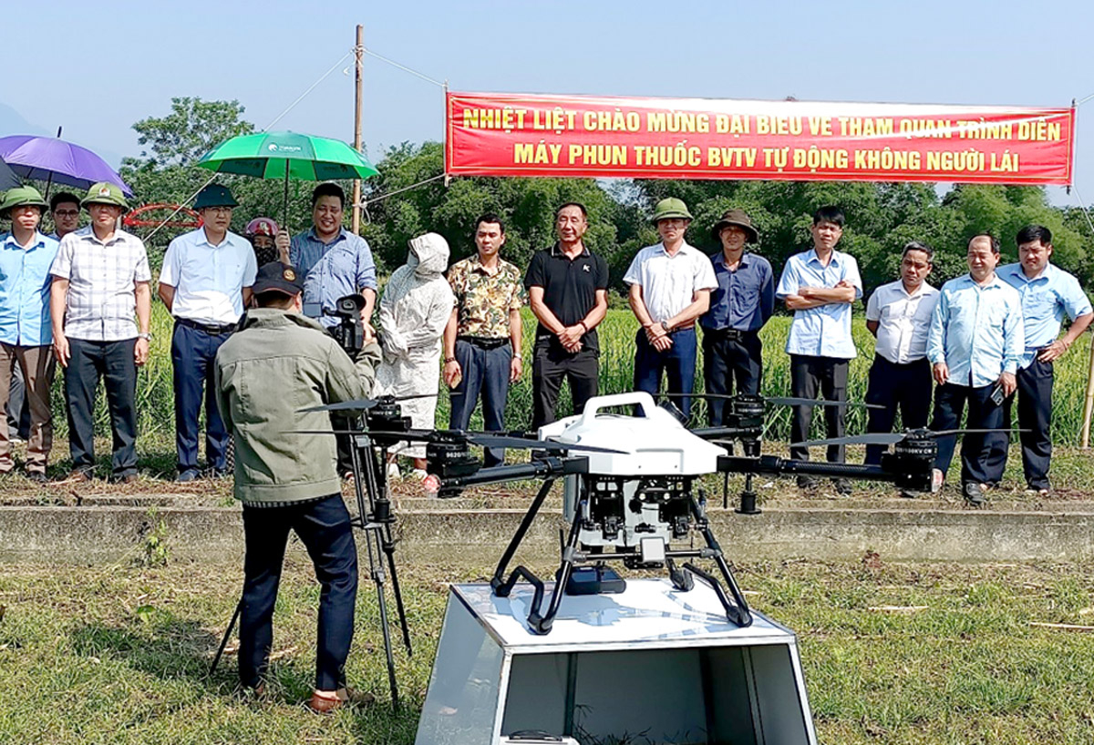 Thử nghiệm drone phun thuốc trừ sâu cho cây lúa ở huyện Bắc Quang.      Ảnh: CTV