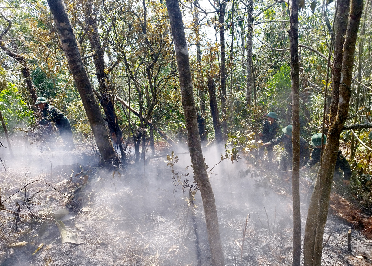 Cán bộ, chiến sỹ Trung đoàn 877 tham gia khống chế cháy rừng trên điểm cao 2.000 m (thuộc dãy Tây Côn Lĩnh).
