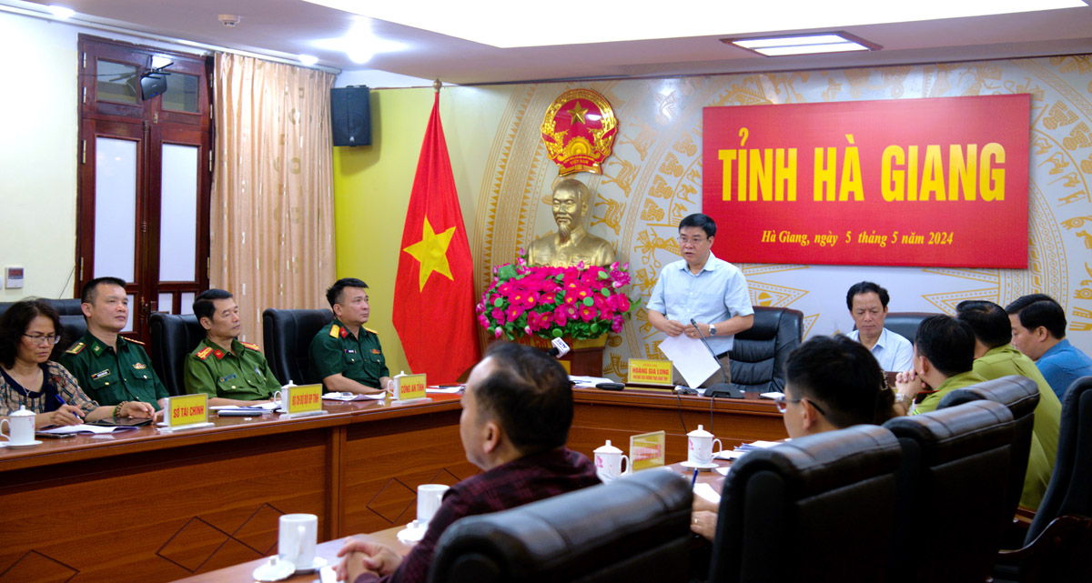 Phó Chủ tịch Thường trực UBND tỉnh Hoàng Gia Long phát biểu tham luận tại hội nghị.