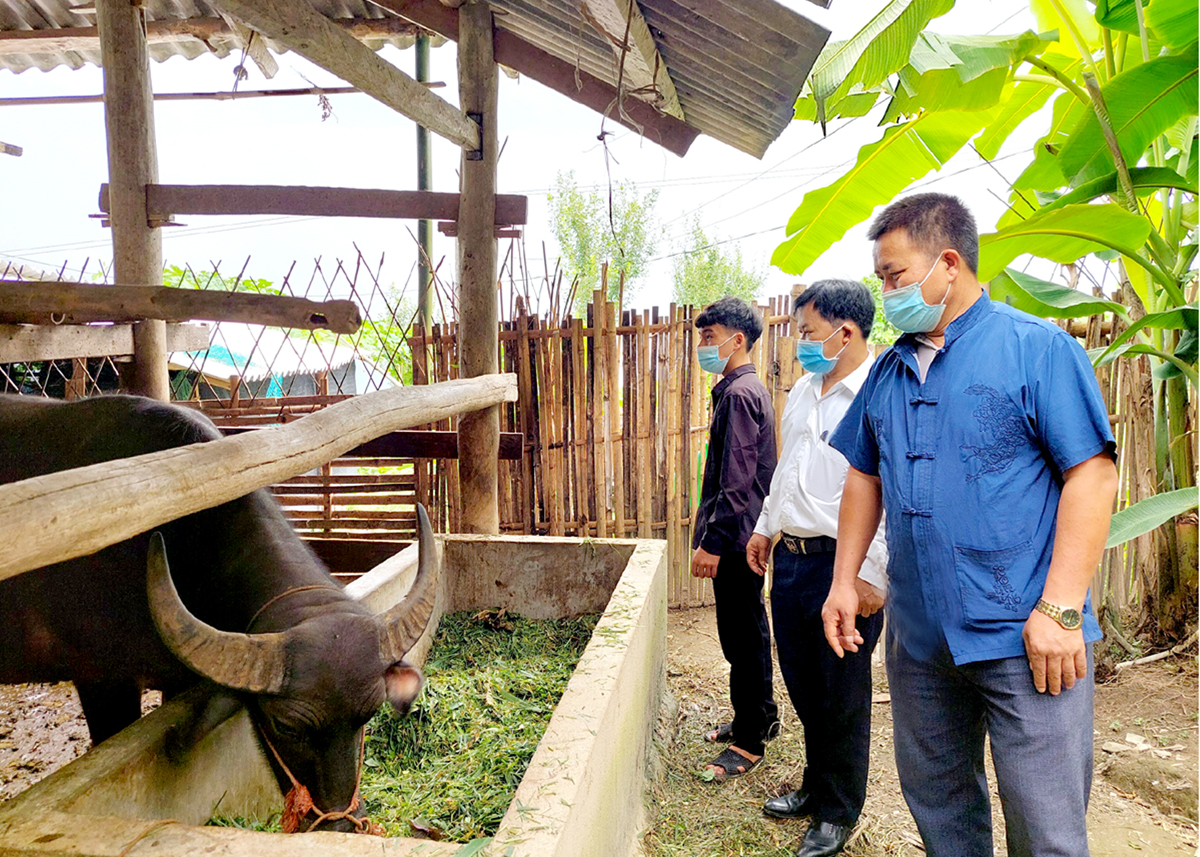 Cán bộ xã Pố Lồ (Hoàng Su Phì) kiểm tra, hướng dẫn người dân các biện pháp phòng bệnh trên vật nuôi.