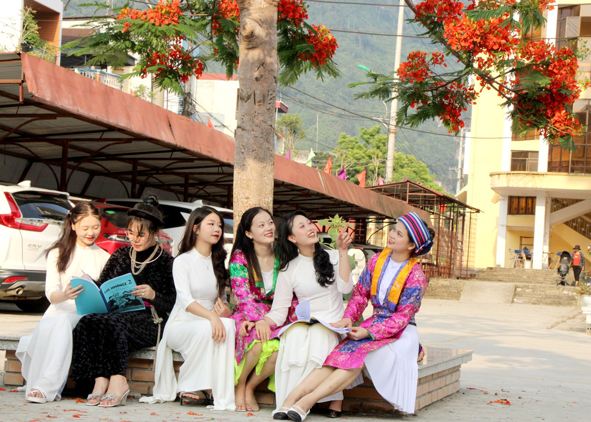 Sinh viên Phân viện Đại học Thái Nguyên tại Hà Giang trò chuyện dưới gốc cây phượng.