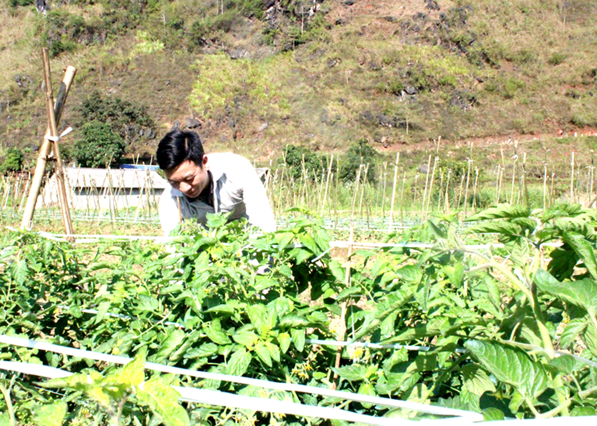 Người dân thôn Tùng Nùn chuyển đổi cơ cấu cây trồng, nâng cao thu nhập.