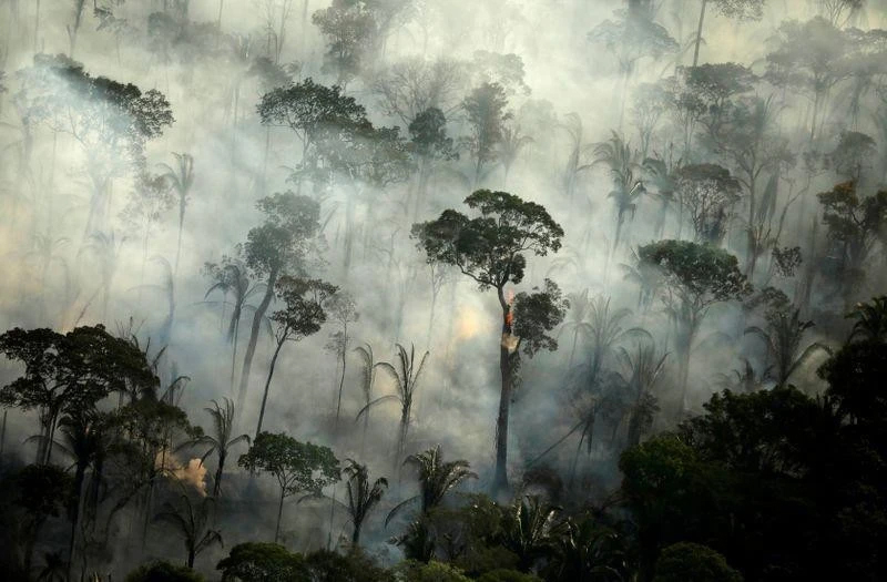 Fires in an area of the Amazon forest in 2019. (Photo: REUTERS)
