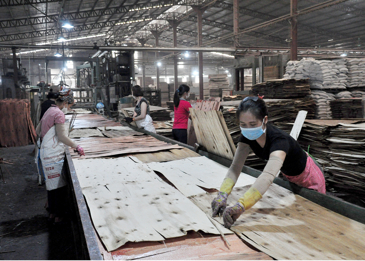 Không khí lao động sôi nổi tại Nhà máy ván ép xuất khẩu Thái Hoàng.