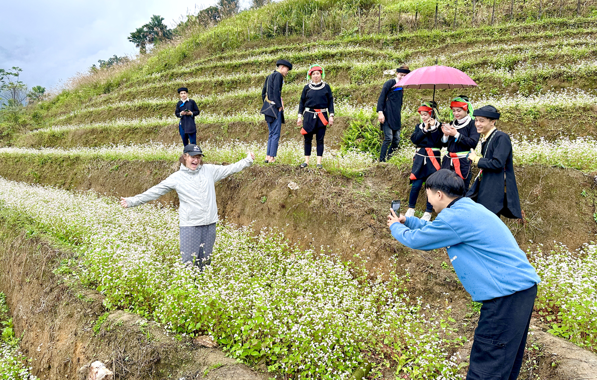 Du khách nước ngoài chụp ảnh với hoa Tam giác mạch tại thôn Lùng Tao.