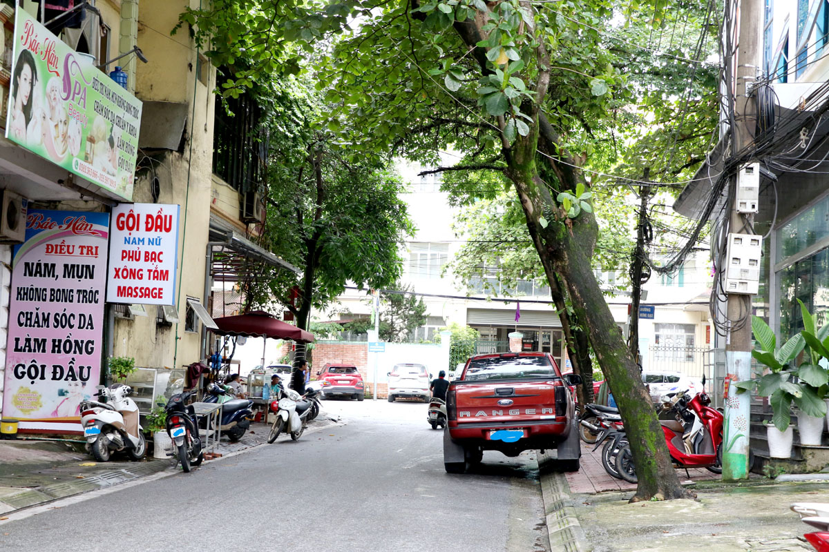 Nhiều phương tiện dừng, đỗ ngay dưới những gốc cây đang
bị nghiêng.