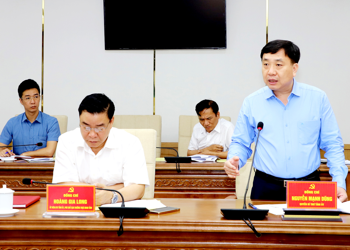 Quyền Bí thư Tỉnh ủy Nguyễn Mạnh Dũng phát biểu chỉ đạo phiên họp.