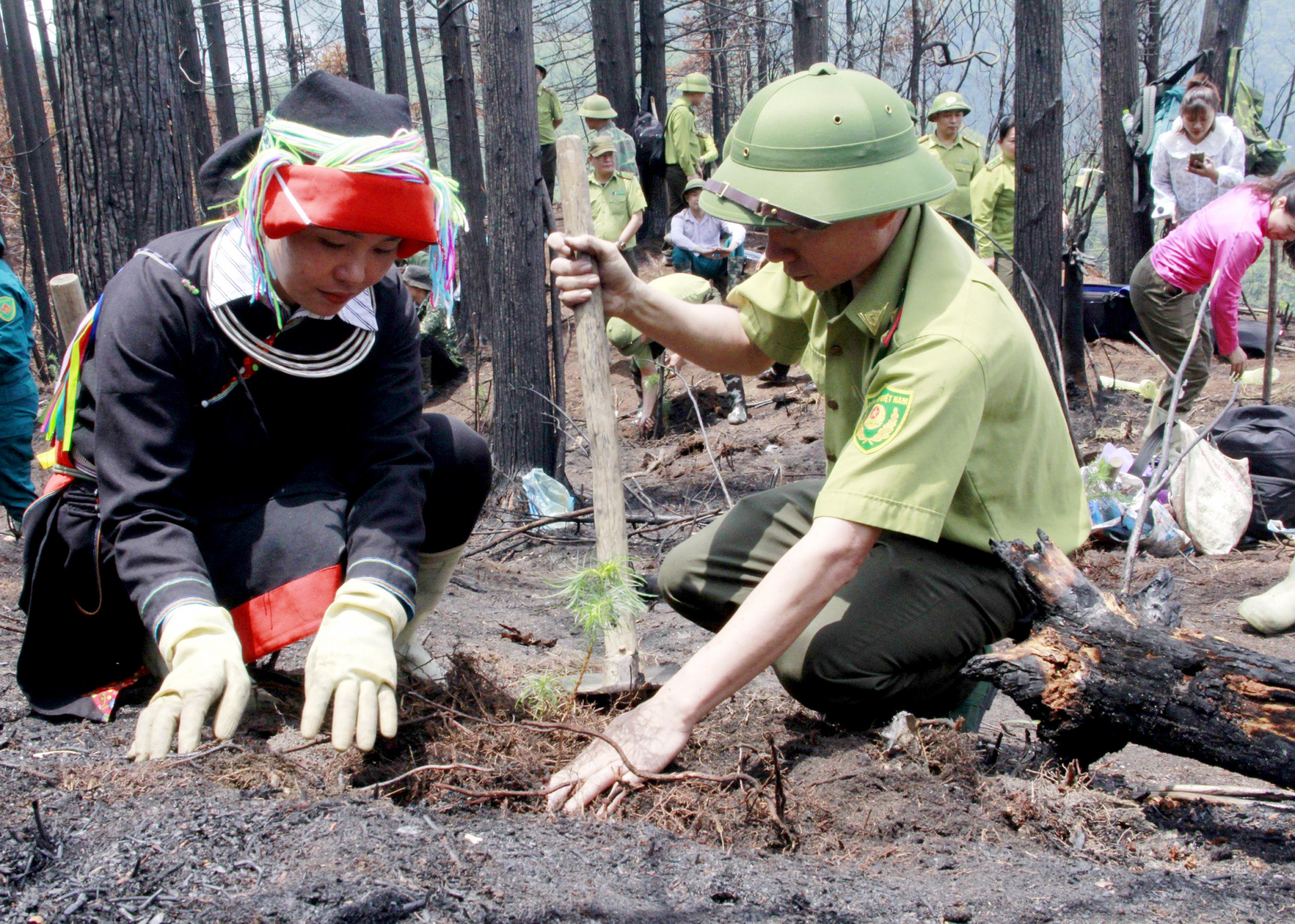 Cán bộ Chi cục Kiểm lâm tỉnh và người dân xã Phương Tiến (Vị Xuyên) trồng rừng trên đỉnh 2000, nơi 2 cán bộ kiểm lâm hy sinh khi thực hiện nhiệm vụ chữa cháy rừng.
