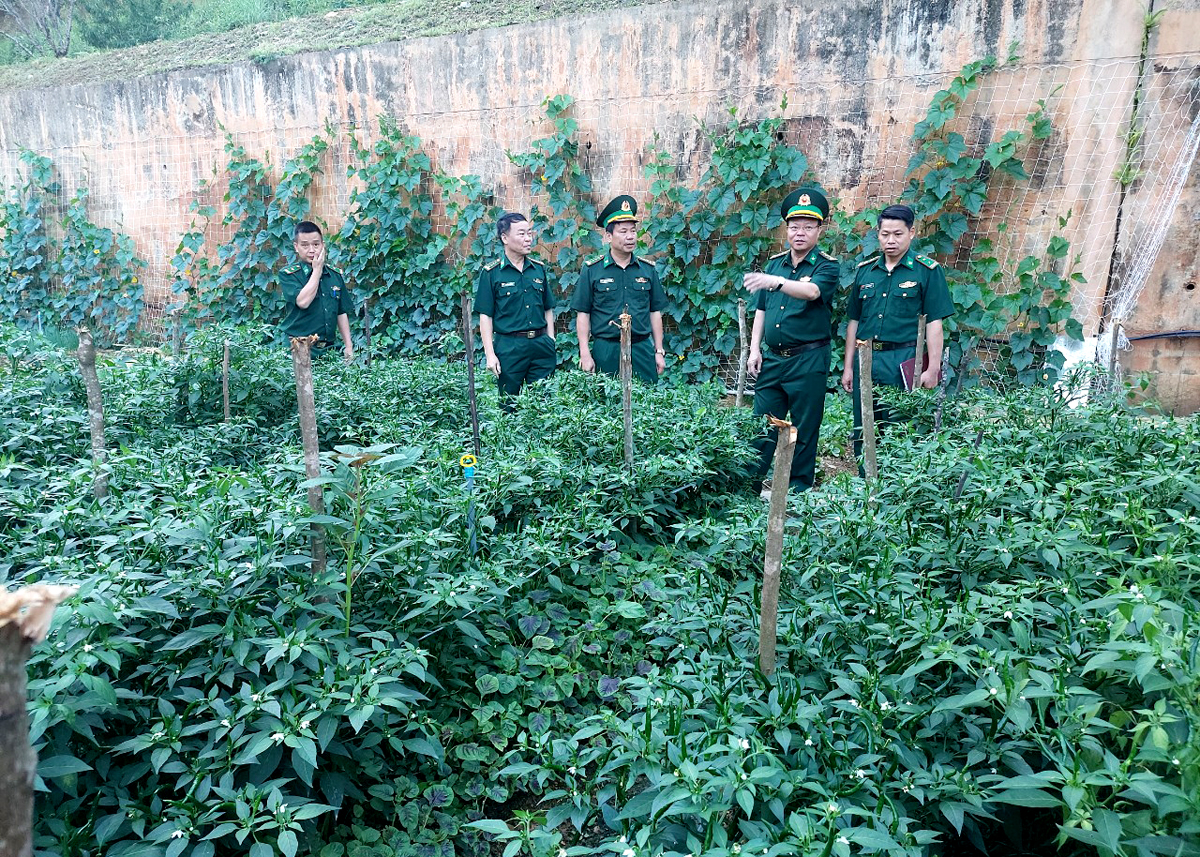 Đoàn kiểm tra công tác tăng gia sản xuất tại Đồn Biên phòng Lũng Cú (Đồng Văn).
