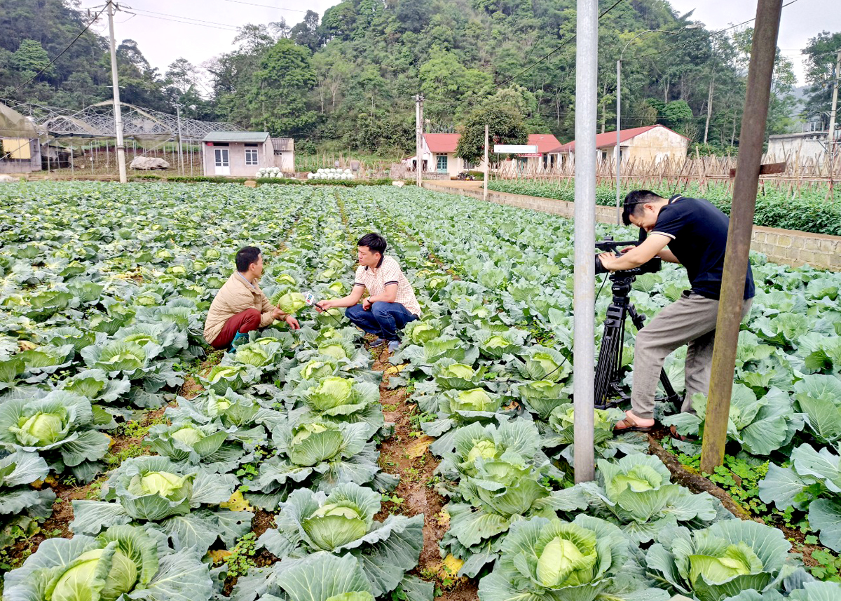 Phóng viên Báo Hà Giang tác nghiệp tại xã Quyết Tiến ( Quản Bạ). Ảnh: PV