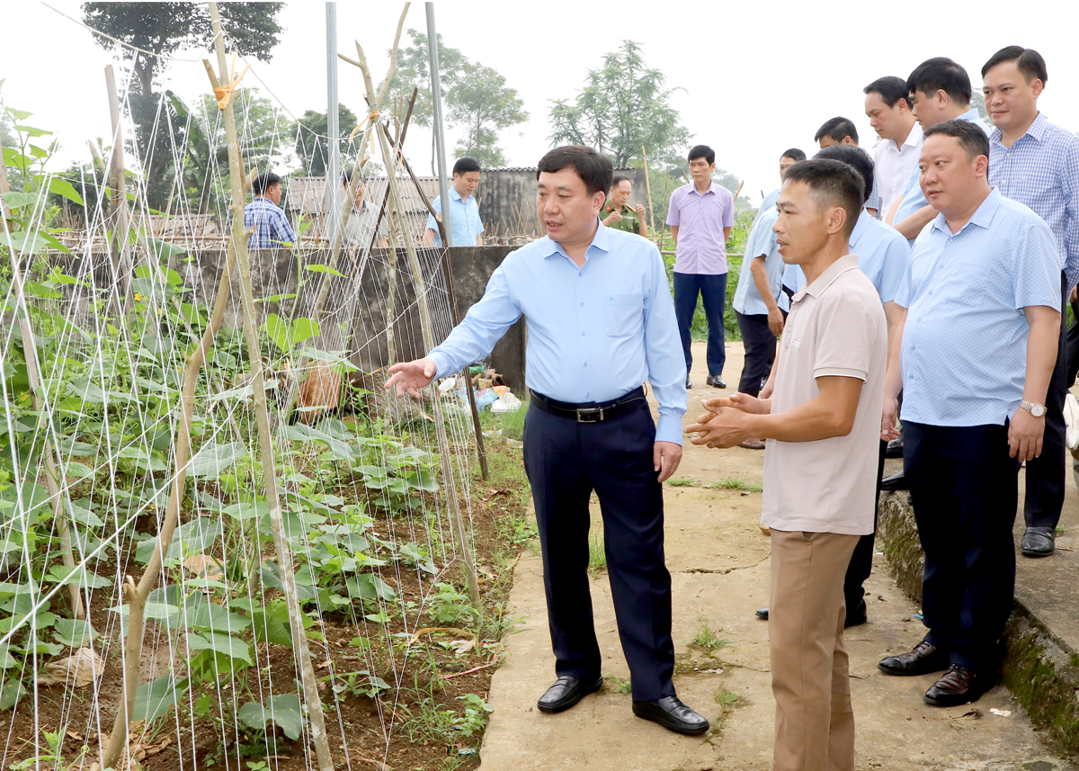 Quyền Bí thư Tỉnh ủy Nguyễn Mạnh Dũng thăm mô hình trồng dưa chuột tại thôn Vĩnh Tiến.