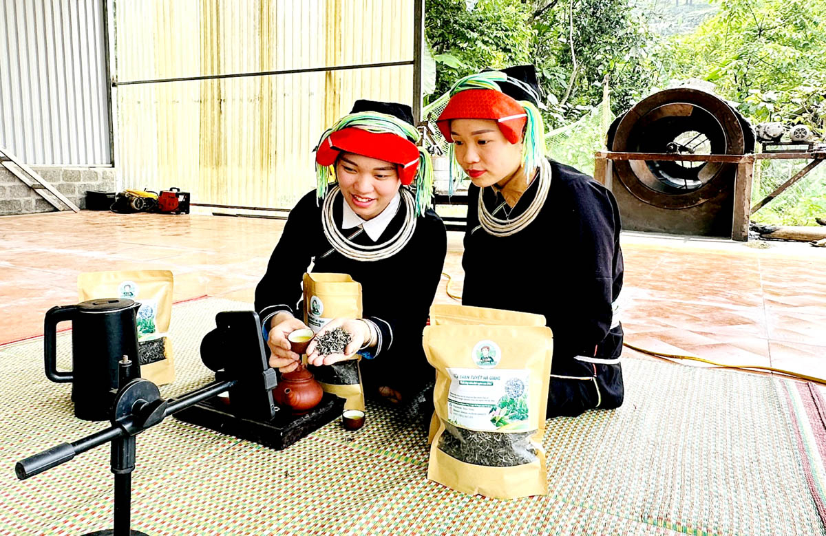 Phụ nữ người Dao thôn Nà Màu, xã Phương Tiến (Vị Xuyên) livestream bán chè Shan tuyết trên các nền tảng số.