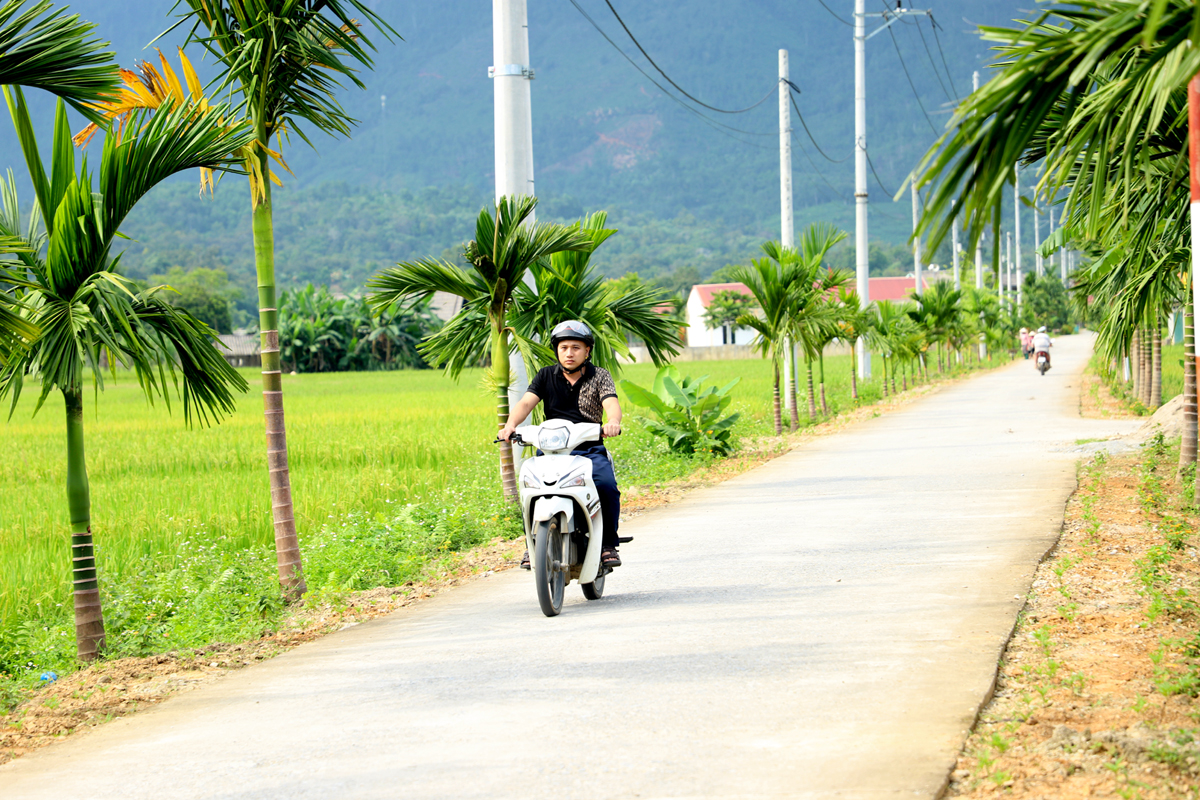 Tuyến đường từ thôn Nà Giáo đi thôn Phúc Hạ, xã Tùng Bá (Vị Xuyên) với hàng cau xanh ngát hai bên.