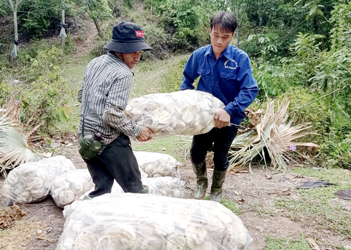 Lao động huyện Bắc Quang làm việc cho Công ty Cổ phần Cao su Hà Giang.