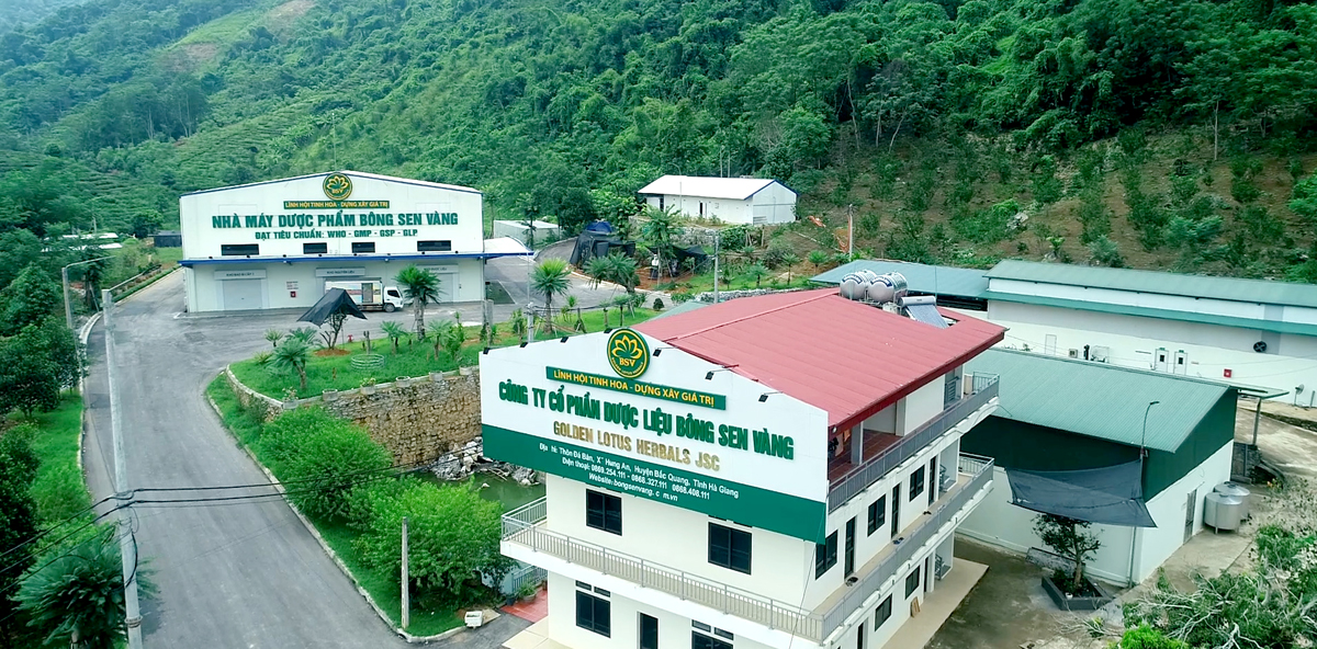 Hiên nay Công ty Bông Sen Vàng thôn Đá Bàn, xã Hùng An (Bắc Quang) có 9 sản phẩm OCOP cấp tỉnh