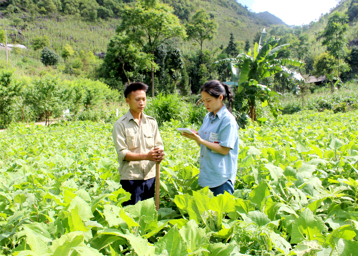 Phóng viên Báo Hà Giang tìm hiểu việc thực hiện cải tạo vườn tạp tại xã Tả Lủng (Đồng Văn).          Ảnh: PV