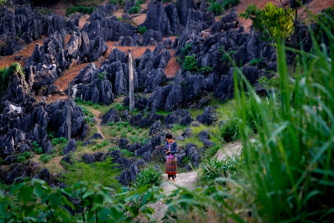 An ethnic child at work on the plateau