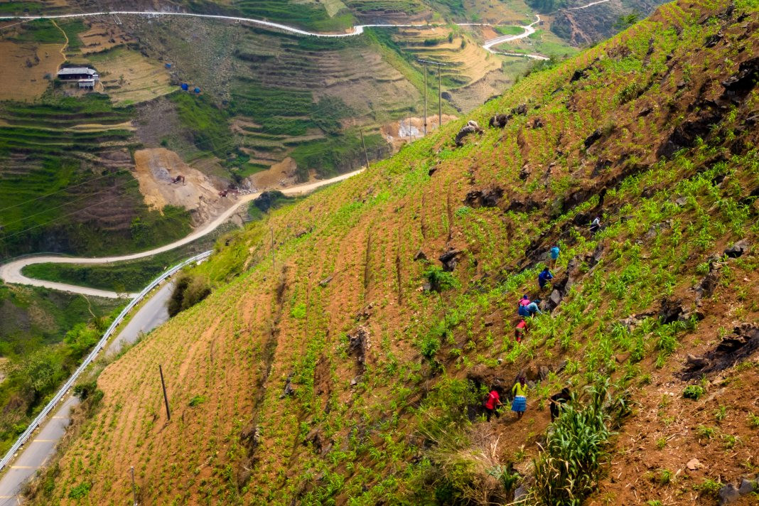 The Hmong ethnic group cultivates rice, corn, and other crops on the rocky terrain