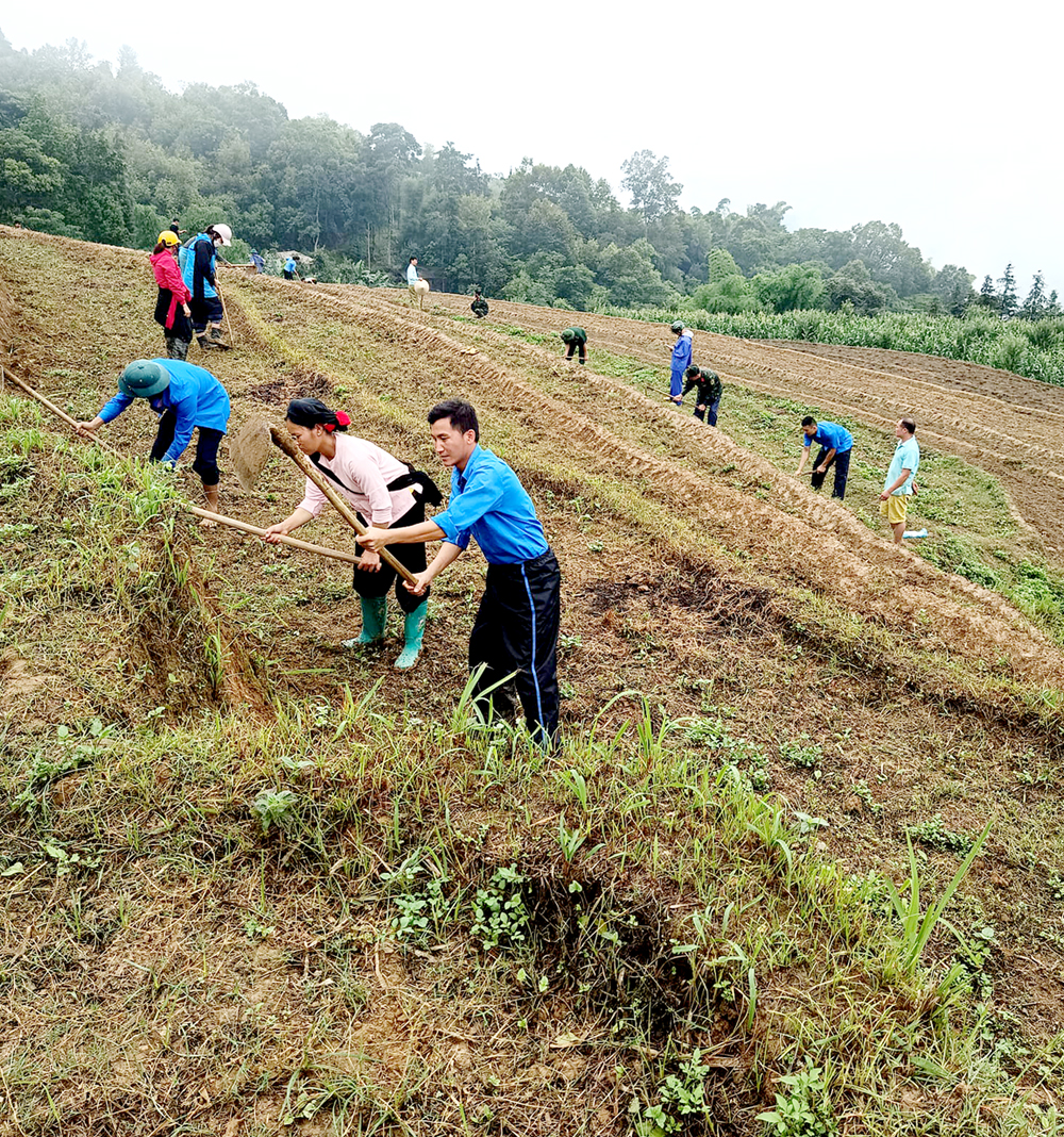 Đoàn xã Chí Cà hỗ trợ gia đình ông Ma Viết Hằng, thôn Chí Cà Hạ, xã Chí Cà (gia đình có công với cách mạng) phát cỏ ruộng.
