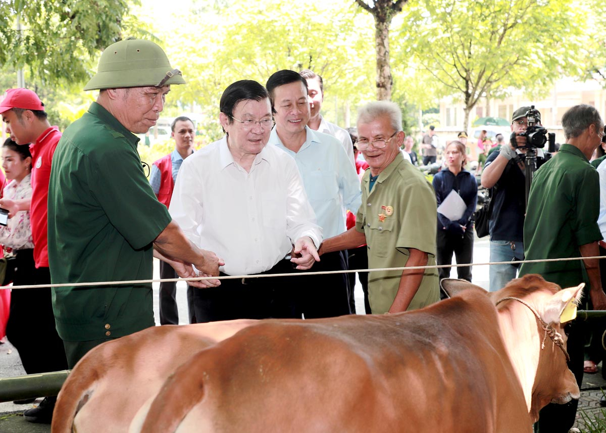 Nguyên Chủ tịch nước Trương Tấn Sang cùng đoàn công tác trao tặng bò cho các gia đình cựu chiến binh.