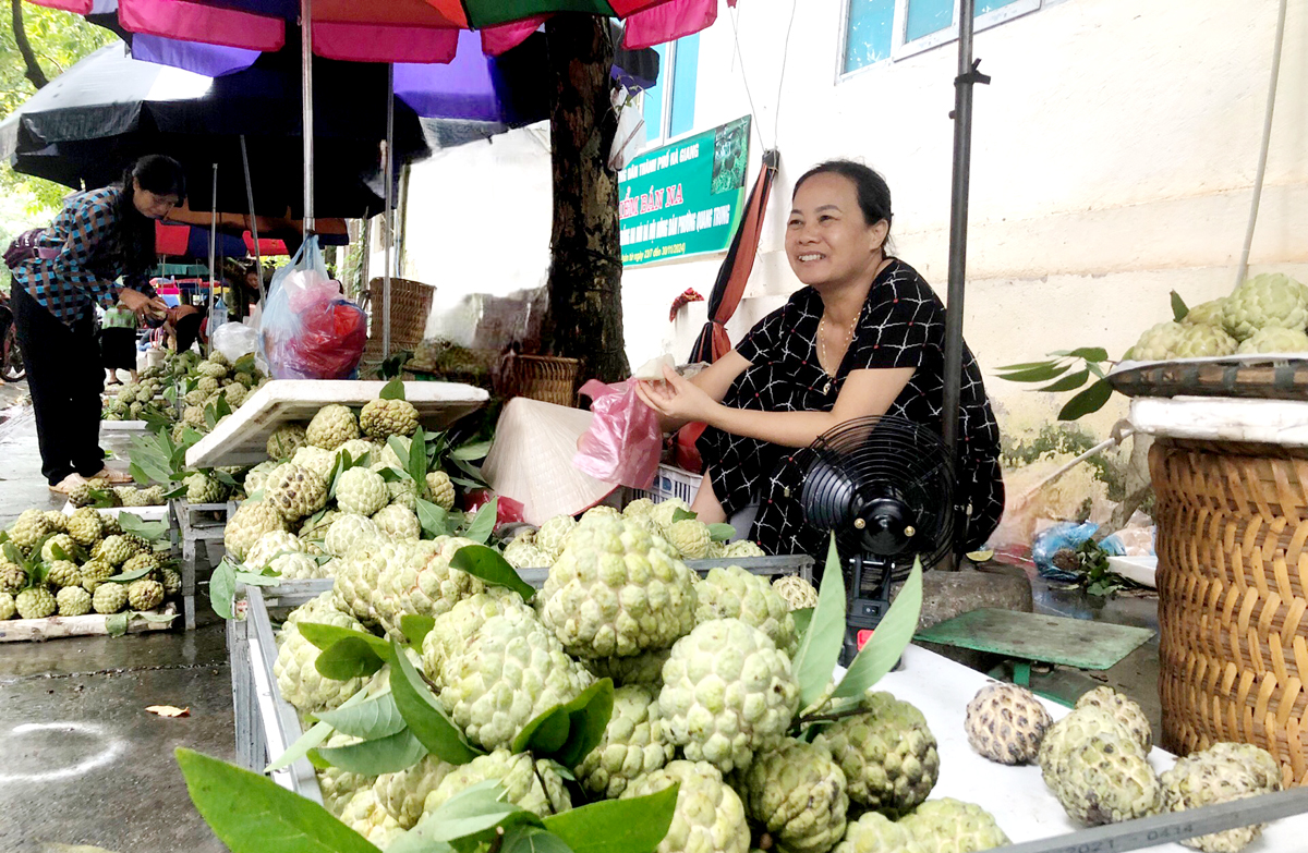 Na được bày bán tại điểm bán na của Chi hội nghề nghiệp trồng na núi đá phường Quang Trung (phía sau Đài Phát thanh - Truyền hình tỉnh).