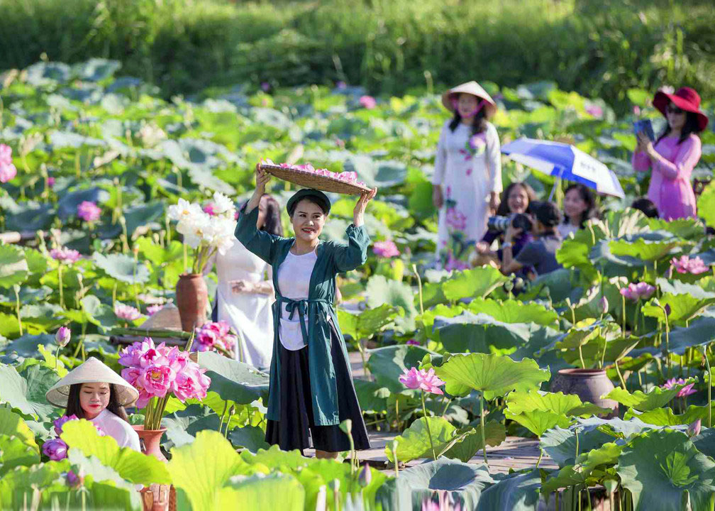 Các đầm sen tại hồ Tây luôn thu hút đông đảo du khách tới thưởng ngoạn và chụp ảnh.