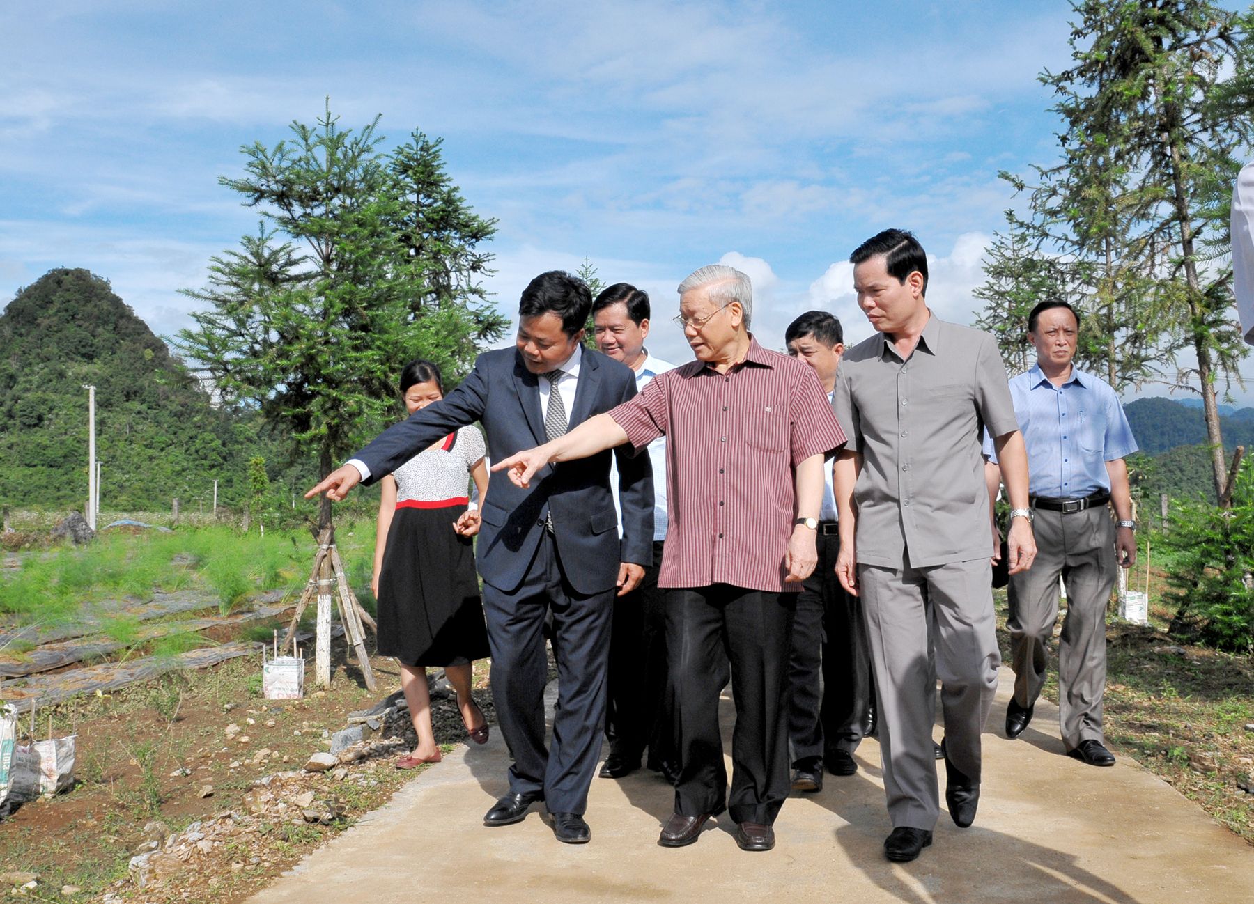 Thăm khu trồng cây dược liệu của Công ty Cổ phần thương mại Nông - lâm nghiệp Bình Minh 3.