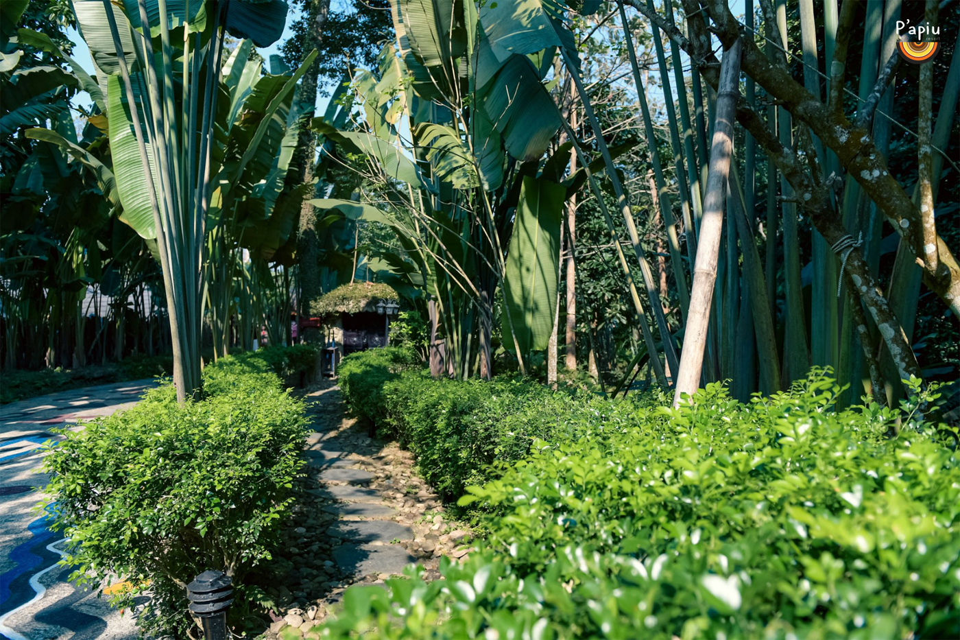 Every green patch, flower tree or grasshere has been taken care of daily to create fresh green spaces for visitors.