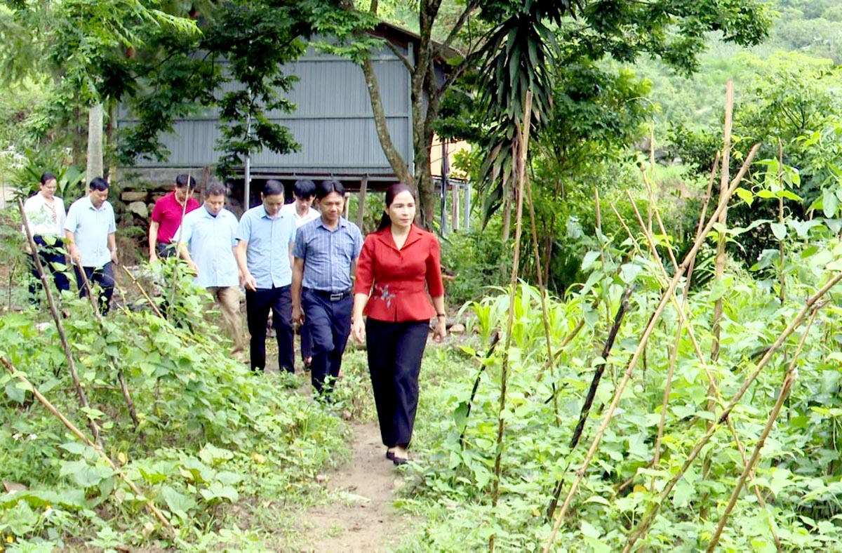 Lãnh đạo huyện khảo sát mô hình phát triển kinh tế tại xã Giáp Trung.                        