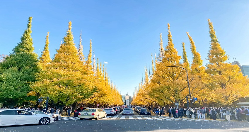 Du khách được khám phá các đền chùa cổ kính như đền Asakusa tại Tokyo