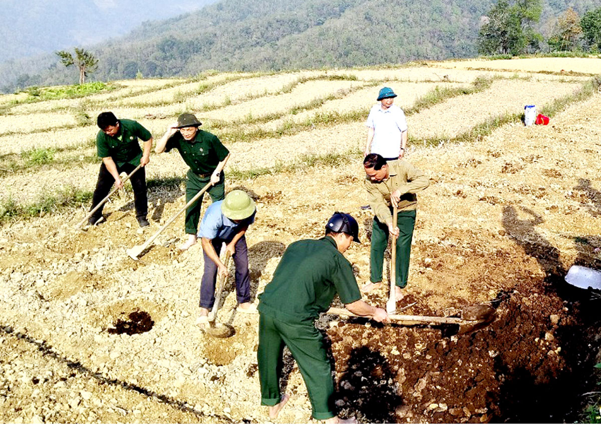 Cựu chiến binh xã Nậm Ban triển khai mô hình trồng dưa hấu.  