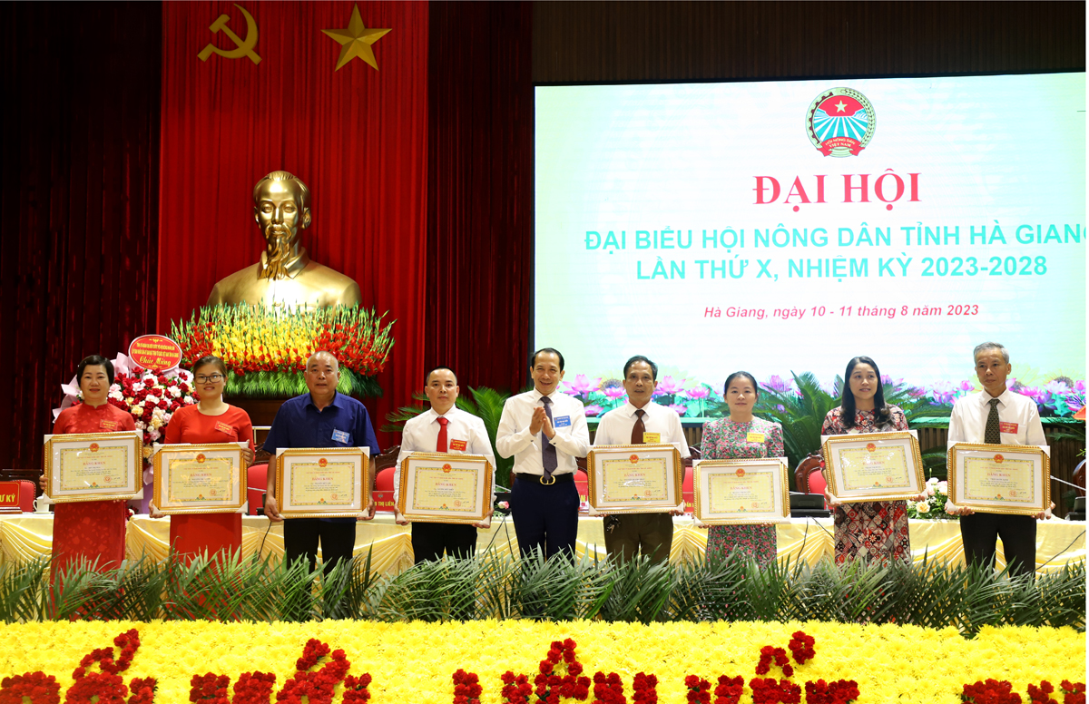 Phó Chủ tịch UBND tỉnh Trần Đức Quý tặng Bằng khen của Chủ tịch UBND tỉnh cho các cá nhân.