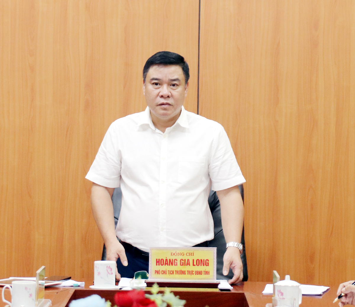 Phó Chủ tịch Thường trực UBND tỉnh Hoàng Gia Long kết luận cuộc họp.