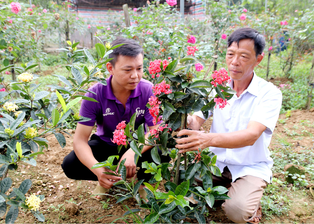 Trưởng thôn Mỹ Tân, Trần Văn Giang (phải) chia sẻ kinh nghiệm sản xuất hoa, cây cảnh cho người dân trong thôn.