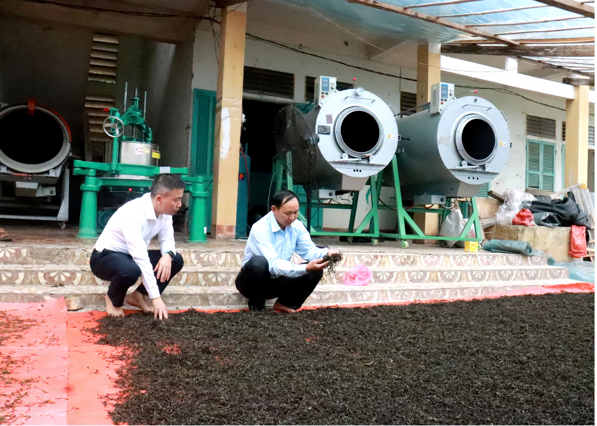 Đảng viên Đặng Văn Thàng (bên phải), thôn Nậm Nịch với mô hình sản xuất và chế biến chè đem lại hiệu quả kinh tế.
