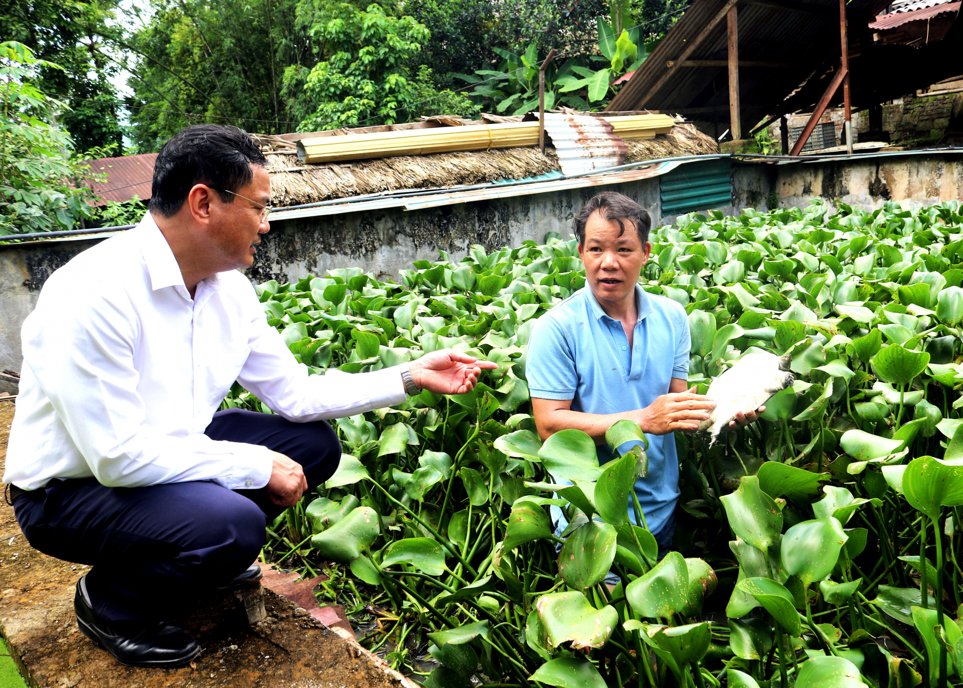 Anh Nguyễn Văn Bằng (phải) có thu nhập cao từ mô hình nuôi ba ba.
