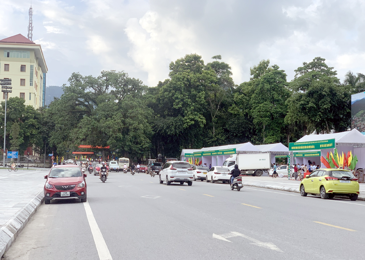 Tuyến phố đi bộ Nguyễn Trãi sẽ được chặn bởi hàng rào chắn, ngăn phương tiện giao thông vào mỗi tối thứ 6 và thứ 7 hằng tuần