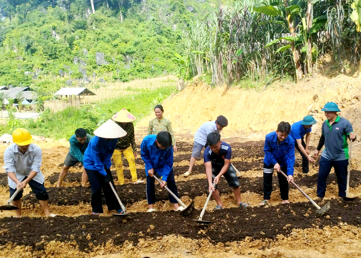 Đoàn viên, thanh niên huyện Yên Minh giúp đỡ các gia đình cải tạo vườn tạp.
