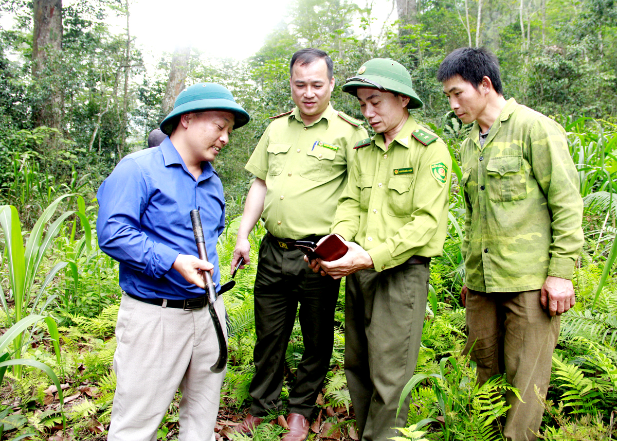 Cán bộ Hạt Kiểm lâm rừng Đặc dụng Phong Quang - Tây Côn Lĩnh sử dụng điện thoại thông minh cài đặt các phần mềm ảnh viễn thám để theo dõi diễn biến rừng.