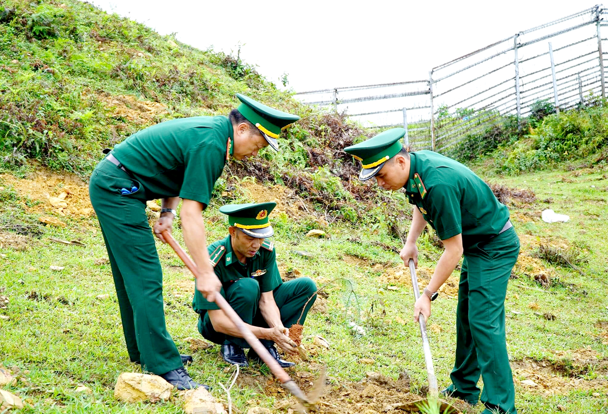 Cán bộ Đồn Biên phòng Săm Pun, Mèo Vạc trồng cây vành đai biên giới.