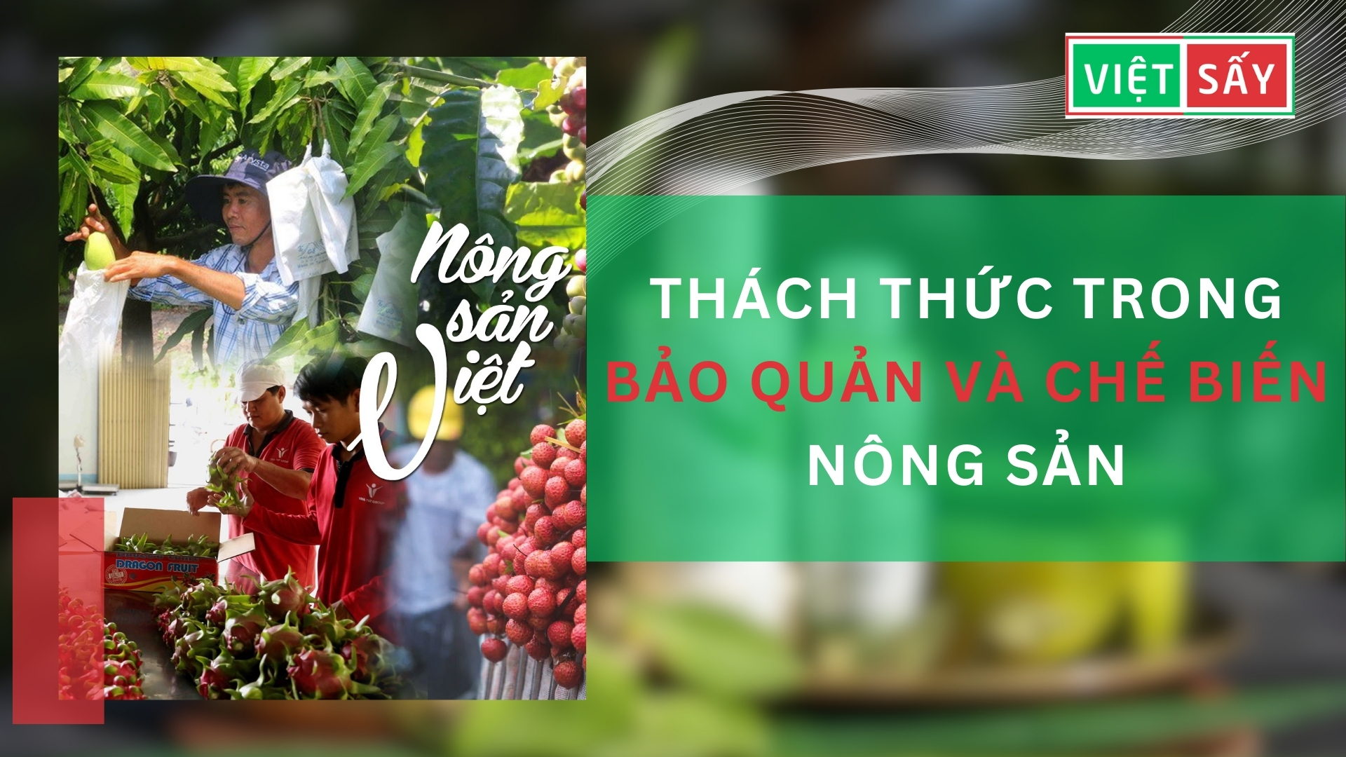 Thách Thức Trong Bảo Quản Và Chế Biến Nông Sản