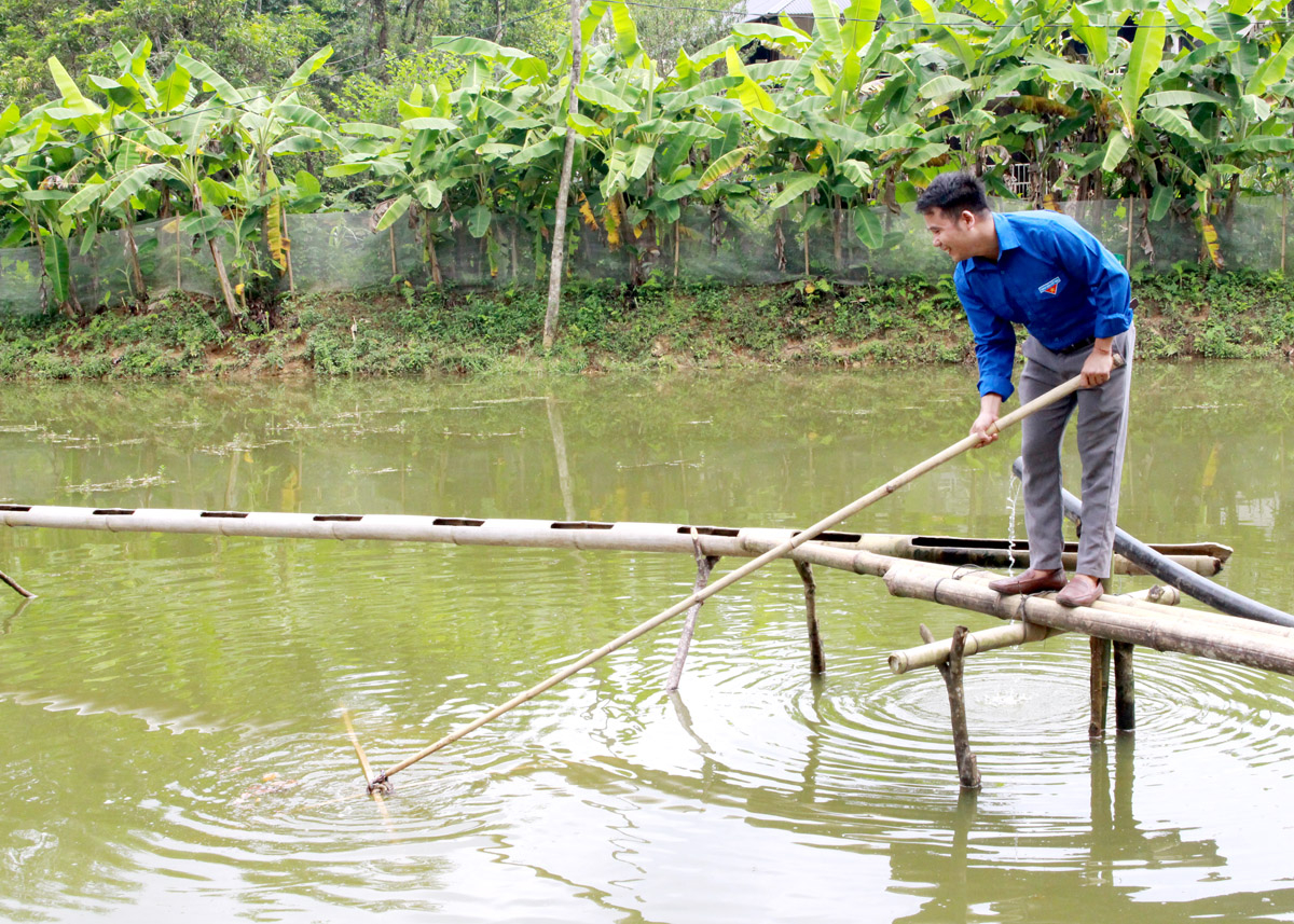 Hoang Cong Thinh, Na Ac Village, checks the quality of giant freshwater prawn.