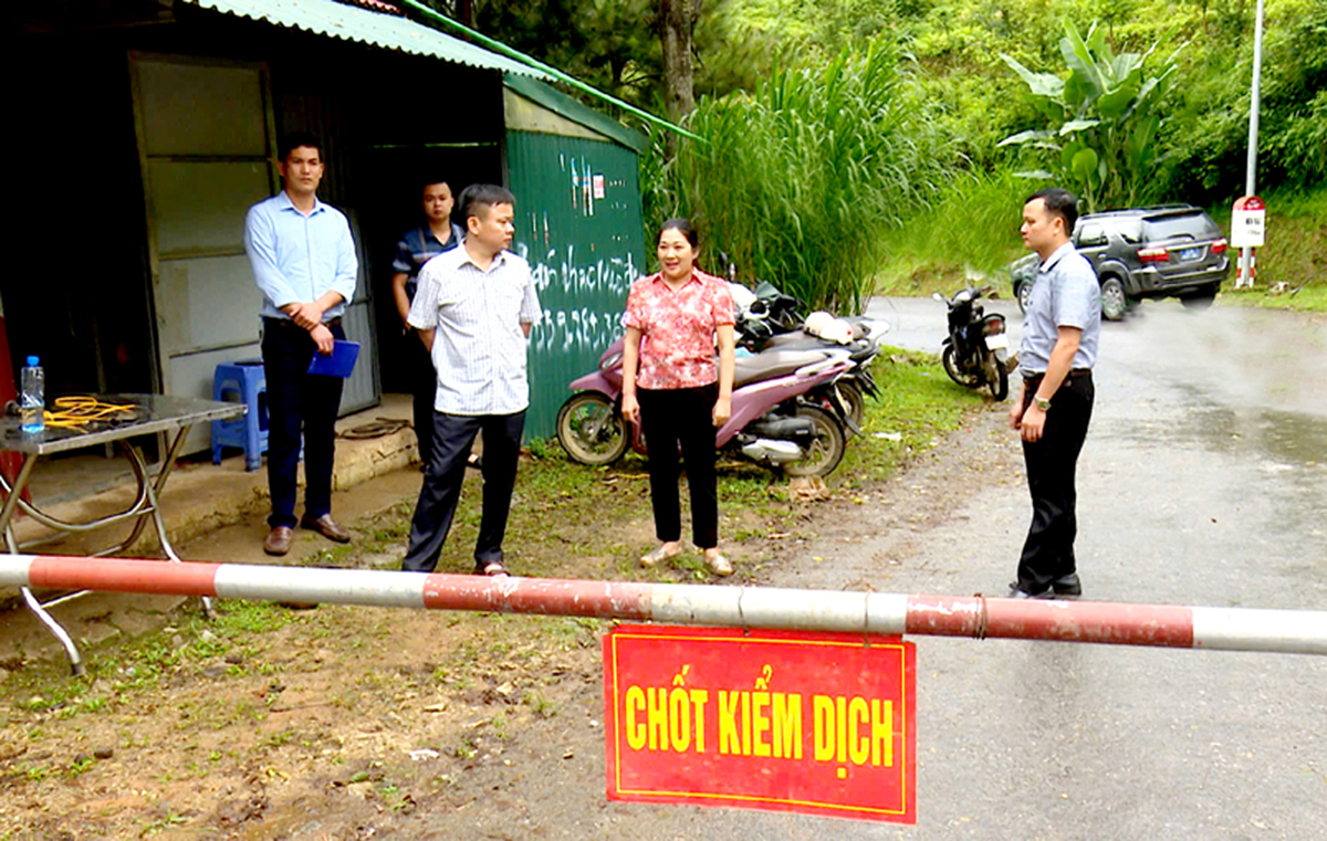 Huyện Mèo Vạc chủ động lập chốt kiểm dịch để ngăn chặn bệnh Tả lợn châu Phi.
