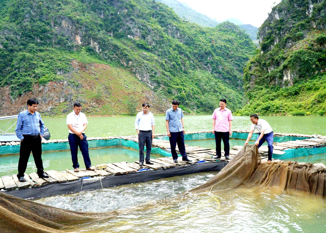 Mô hình nuôi cá lồng ở xã Khâu Vai (Mèo Vạc) giúp người dân có cuộc sống ấm no.