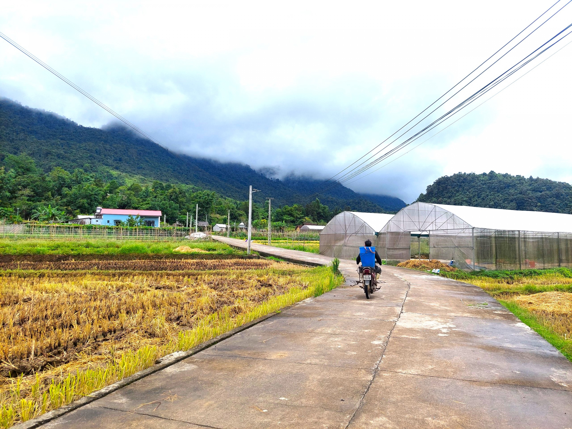 Những tuyến đường vào nhánh hộ ở Nậm Lương được bê tông hóa sạch đẹp.