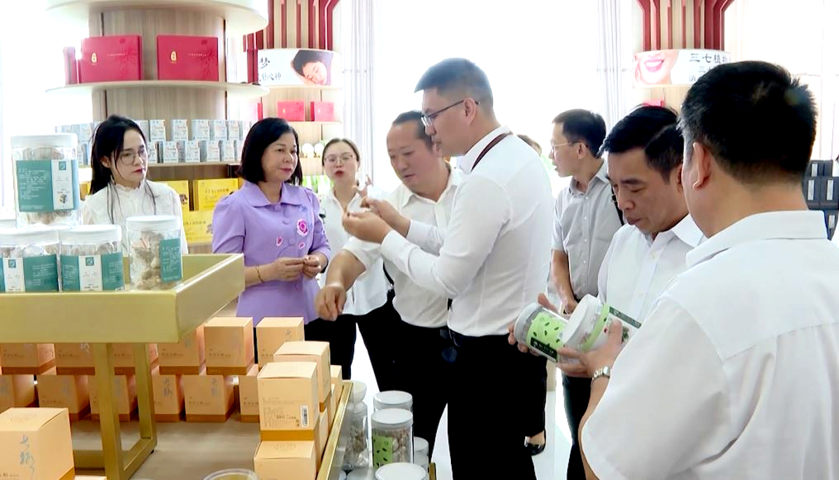 Đoàn đại biểu HĐND tỉnh Hà Giang thăm Công ty Dược Thất Đan Vân Nam. Ảnh: Tuấn Quỳnh