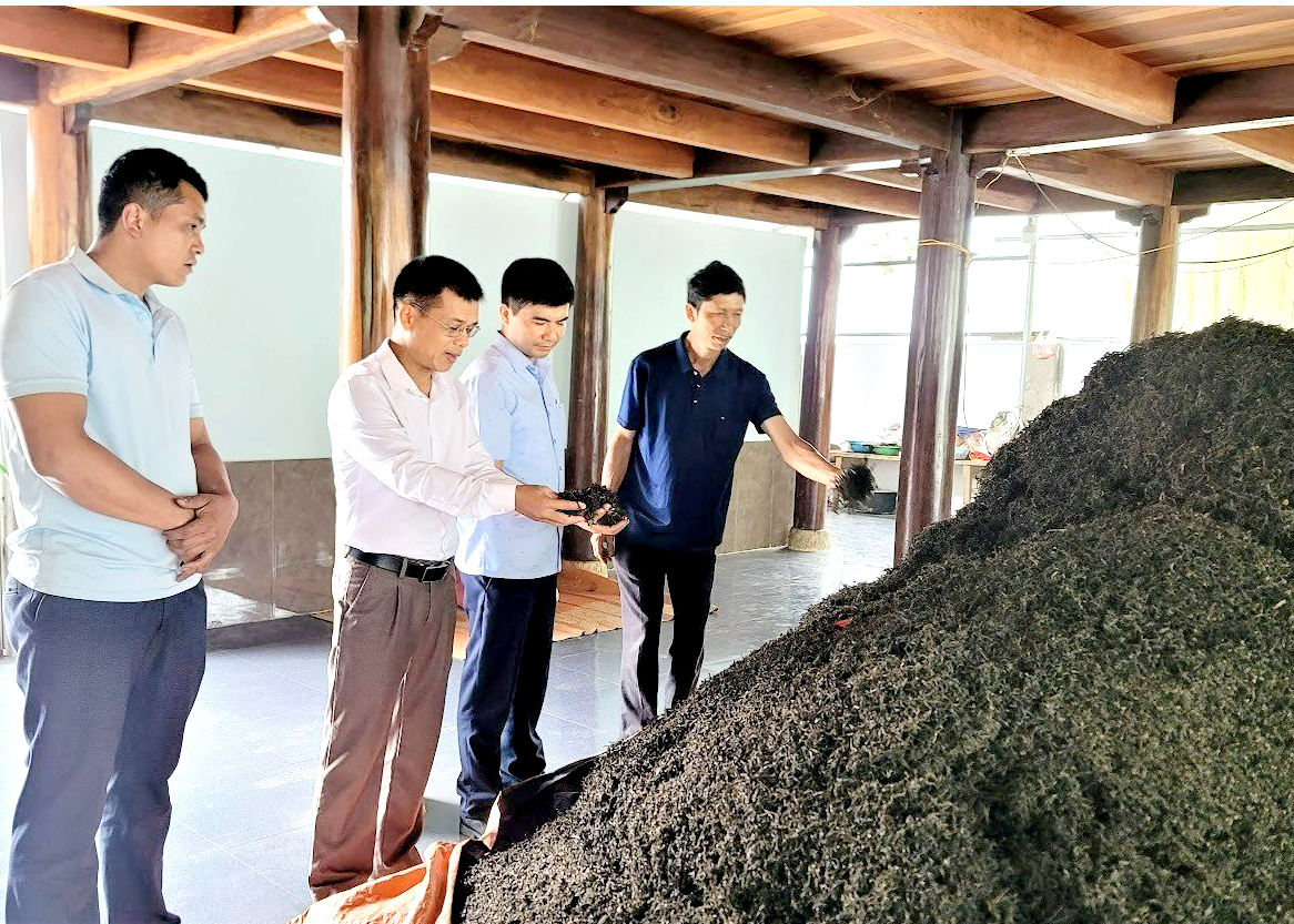 Lãnh đạo huyện Bắc Quang kiểm tra mô hình đảng viên làm kinh tế giỏi xã Đức Xuân.