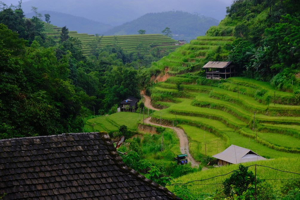 Đến Hoàng Su Phì, mỗi người sẽ tìm thấy sự bình yên, được gắn kết mình với thiên nhiên hoang sơ.